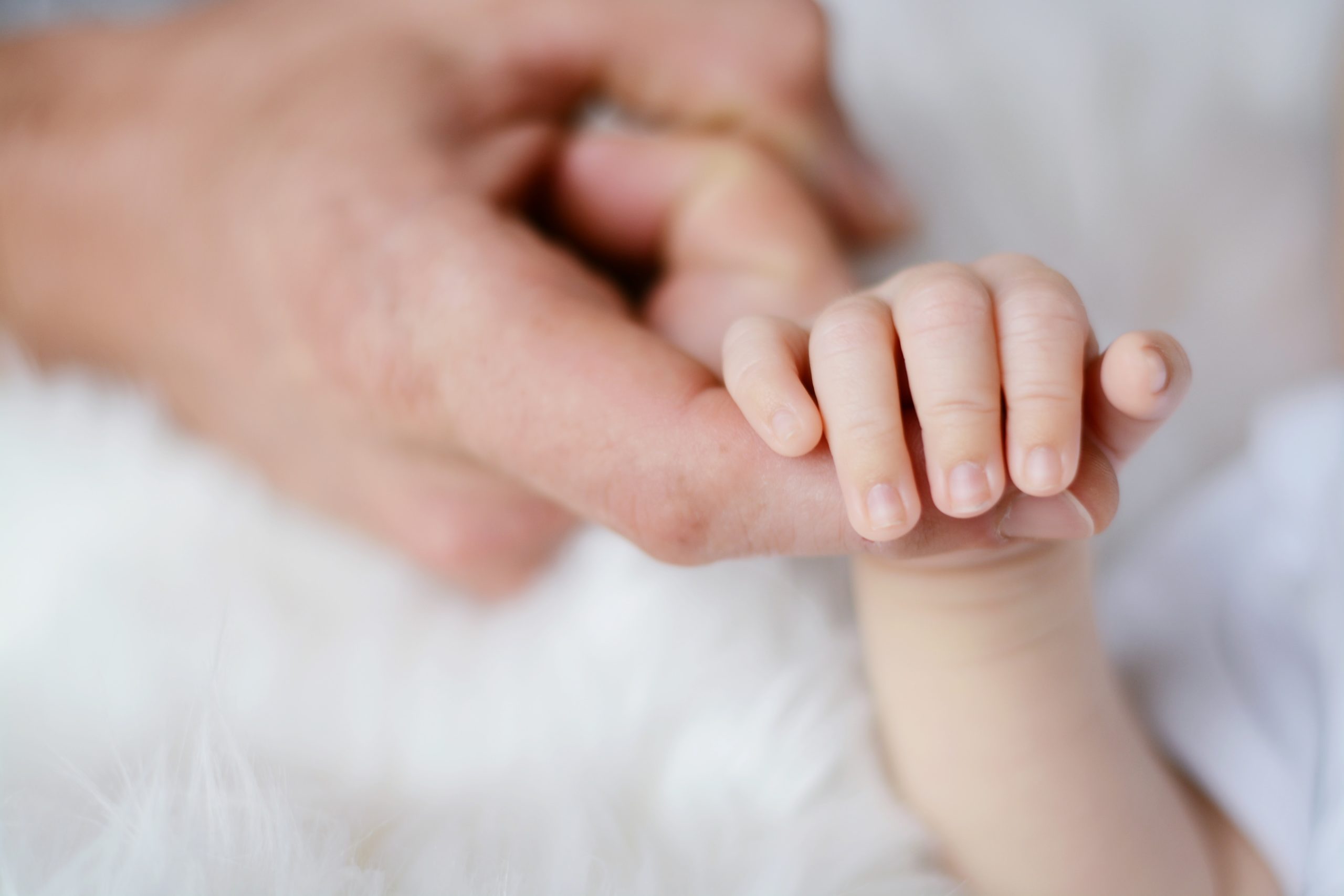Close up of a baby holding an adult's finger