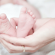 Close up of adult hand holding feet of a baby